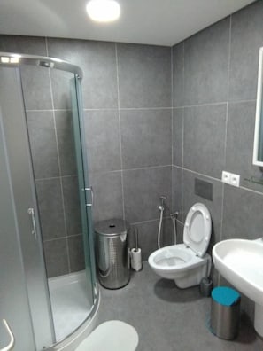 Apartment, 2 Bedrooms | Bathroom | Rainfall showerhead, towels, soap, toilet paper
