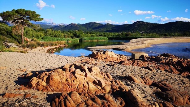 A rocky beach with a calm lake, surrounded by green hills and a clear sky.