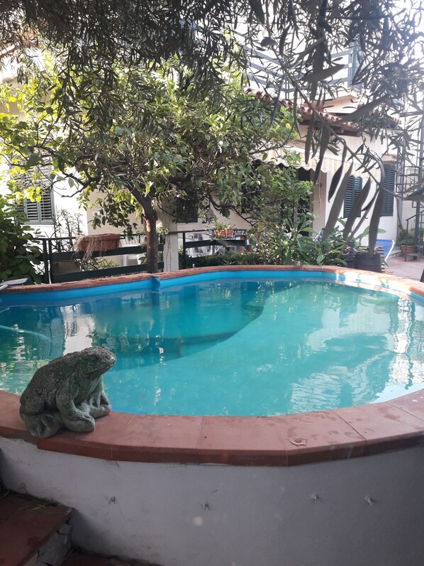 A swimming pool with a frog statue on the edge, surrounded by trees and a building in the background.