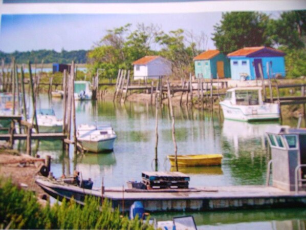 Marina