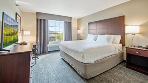 A hotel room with a large bed, a desk, a TV, and a window with curtains.