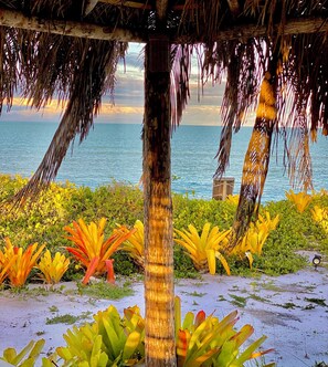 Jardim