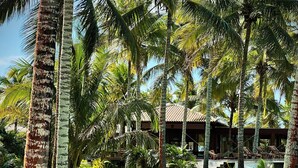 A pathway leading to a building surrounded by palm trees and well-maintained grass. - Vila Bela Vista Corumbau (Prado)