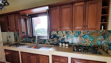 Fridge, oven, stovetop, cookware/dishes/utensils
