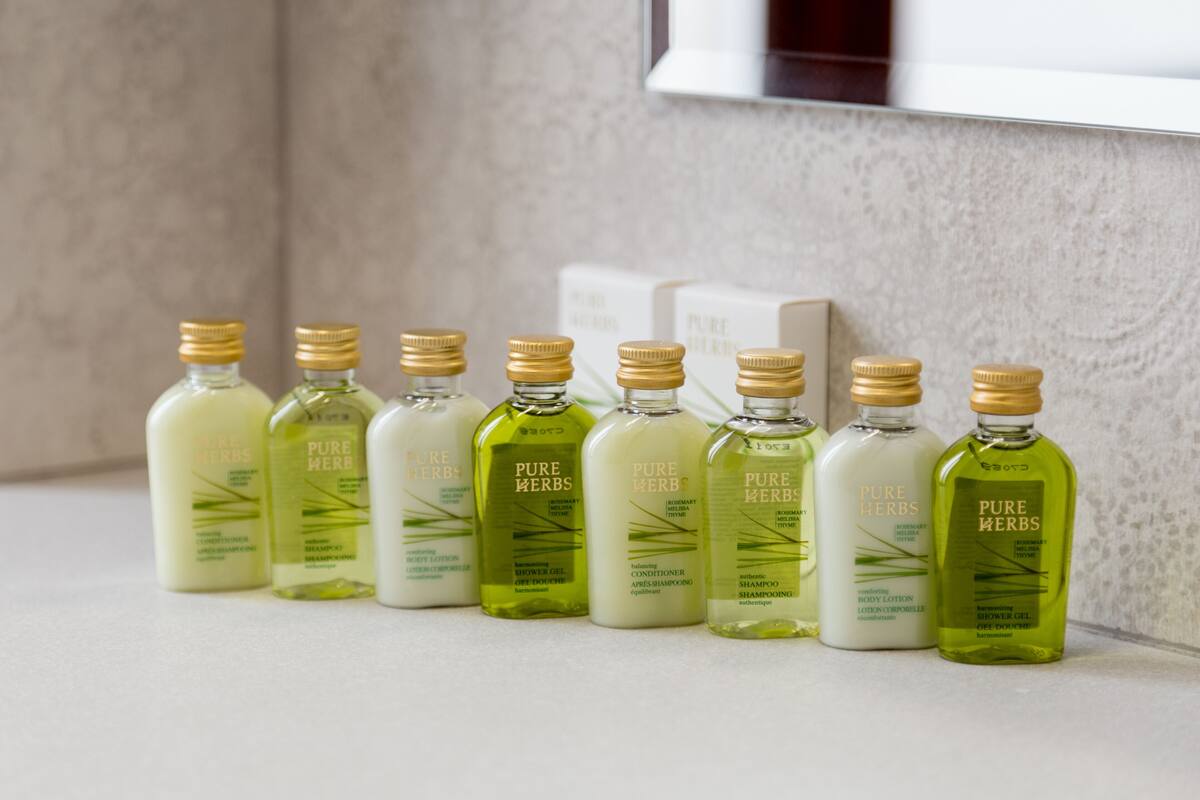 shower, hair dryer, bathrobes, slippers