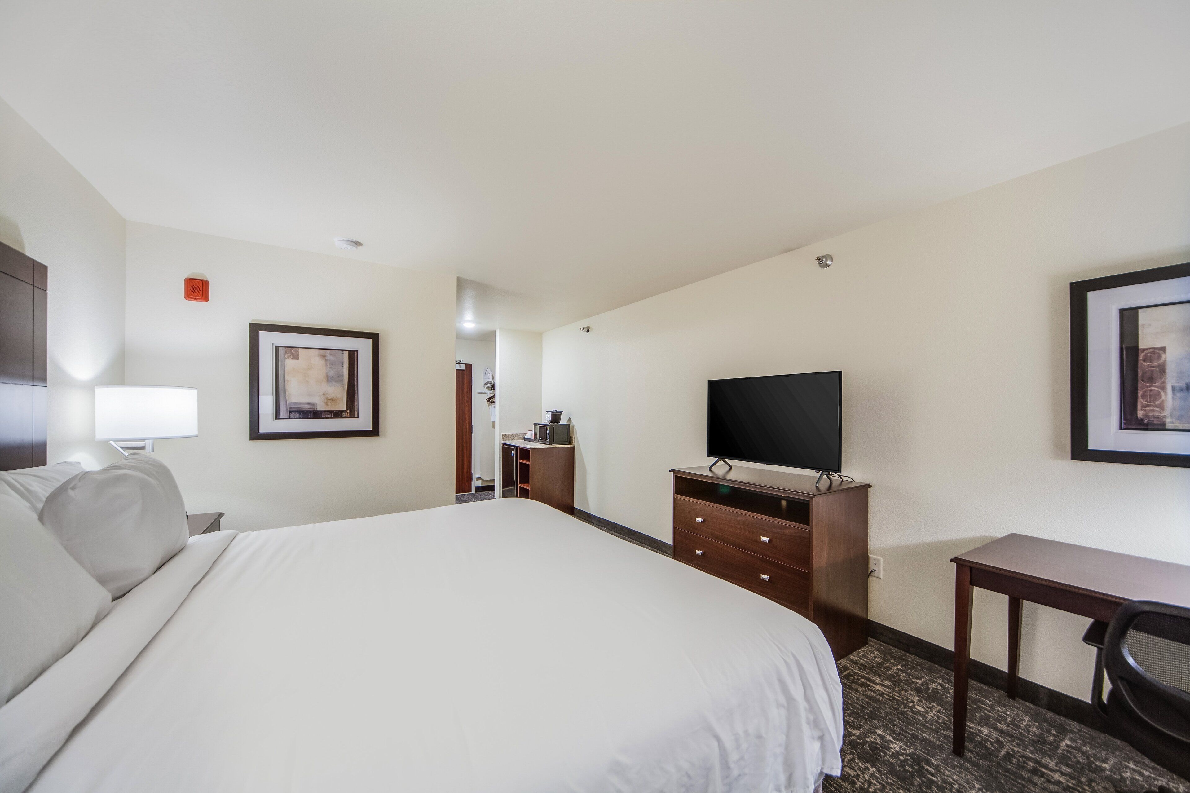 A hotel room with a large bed, a desk, a chair, a TV, a dresser, and a framed picture on the wall.