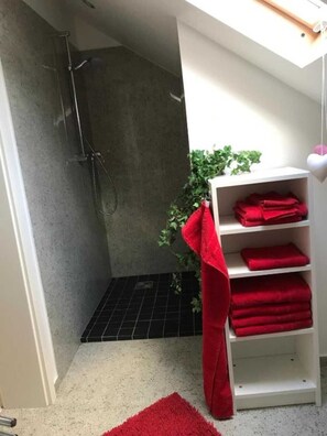 Dusche, Handtücher, Toilettenpapier