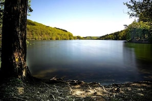A calm lake surrounded by forested hills. - Eversberg1 - Apartment / Assembly Meschede-Eversberg (Meschede)