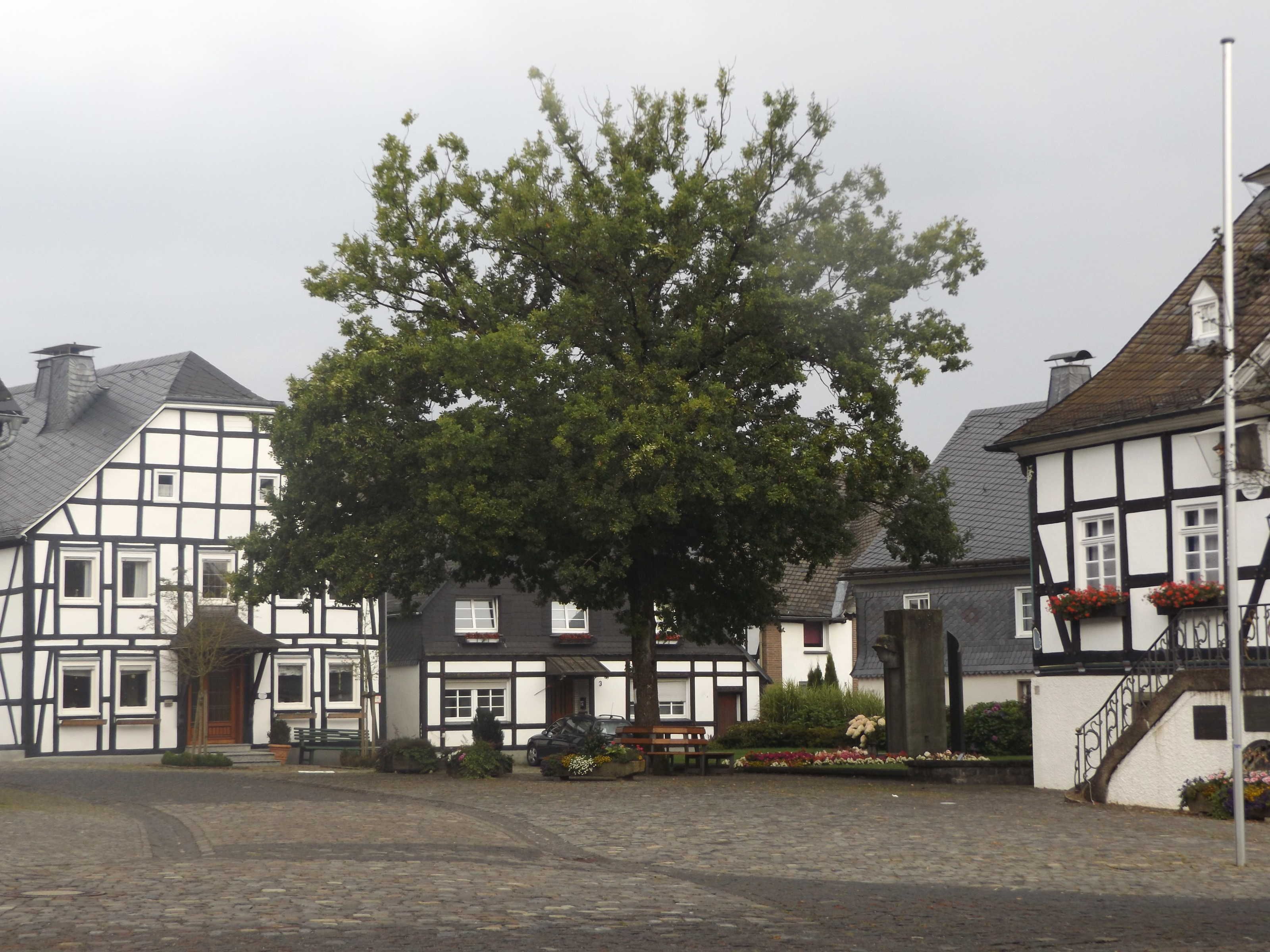 A traditional European village with timber-framed houses, cobblestone streets, and a large tree in the center.