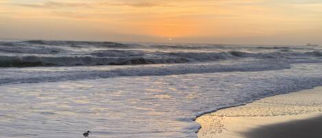 Beach nearby, sun loungers, beach towels