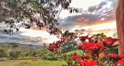 ECOTREE CAMPESTRE