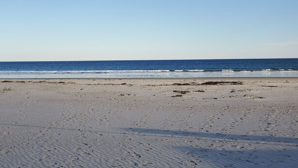 A sandy beach with footprints leading to the water. - Cute and Comfy Cottage - 1 Mile to Wells Beach & 3 Miles to Ogunquit Beach! (Wells)