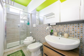 Shower, hair dryer, bidet, towels