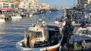 A marina with boats docked, buildings in the background, and a clear sky. - Nice air-conditioned studio - wifi - sea view and direct beach access (Palavas-les-Flots)