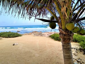 A la platja, gandules de platja i tovalloles de platja 