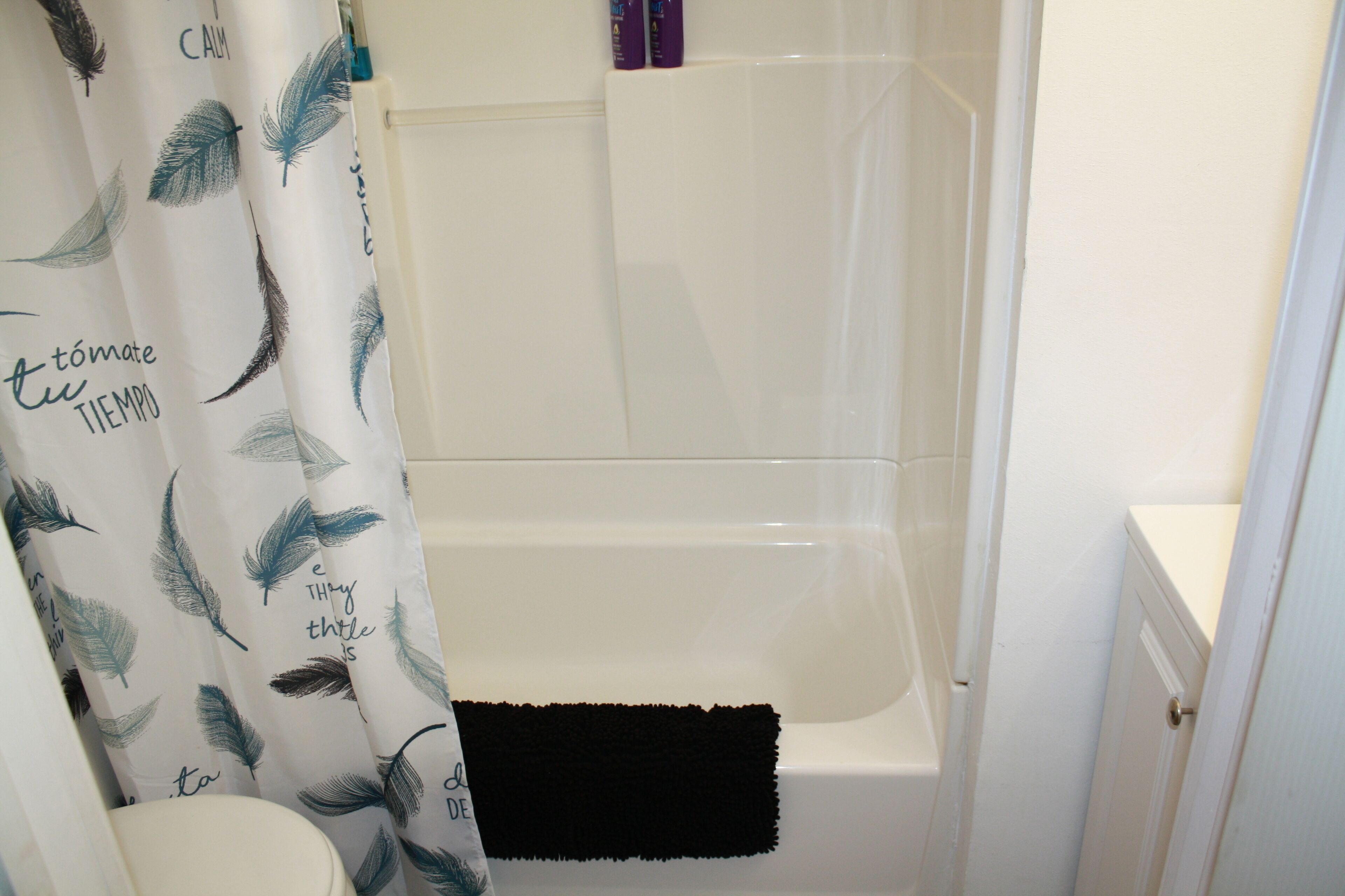 Combined shower/tub, hair dryer, towels, soap