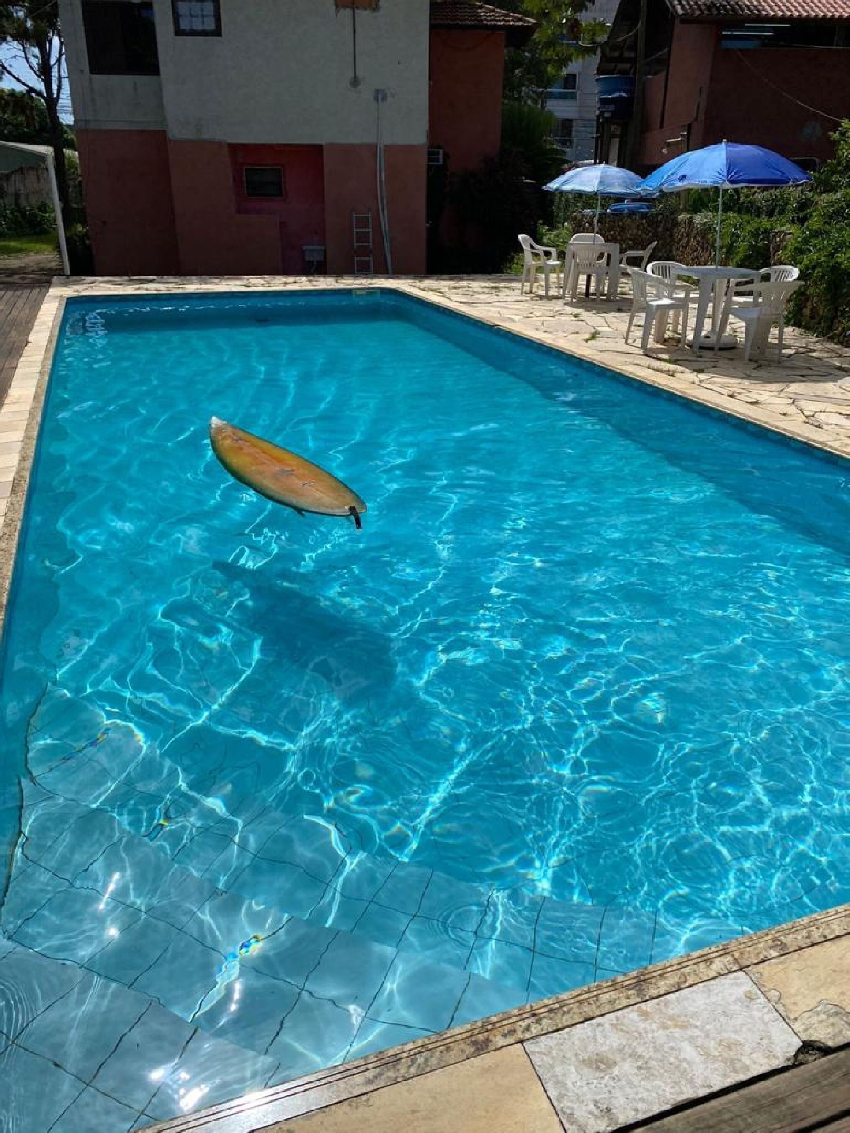 Photo - Garden 437 Estúdios