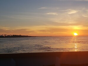 Beach nearby - Close to the beach--Tiny House Feel, 1 BR/1 Bath, In-Town, Dogs OK! (Port Aransas)