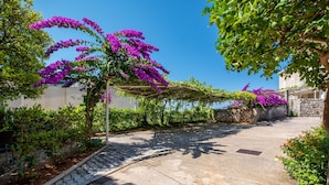 Un chemin pavé, surmonté d’une pergola couverte de fleurs violettes, entouré de verdure et bordé d’un mur de pierres.