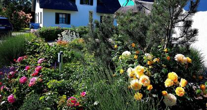 Thatched cottage Vera first row to the Baltic Sea beach wifi sauna fireplace washing machine
