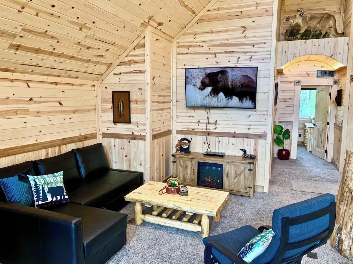 TV, fireplace, DVD player