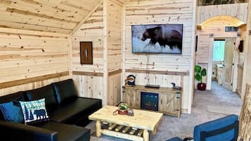 TV, fireplace, DVD player