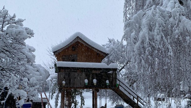 A wooden building with a sloped roof, surrounded by snow-covered trees. - Apartment 2 with balcony, up to 2 pers. (Rottau)