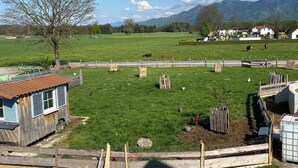 A rural landscape with a fenced pasture, a wooden structure, and distant mountains. - Apartment 2 with balcony, up to 2 pers. (Rottau)