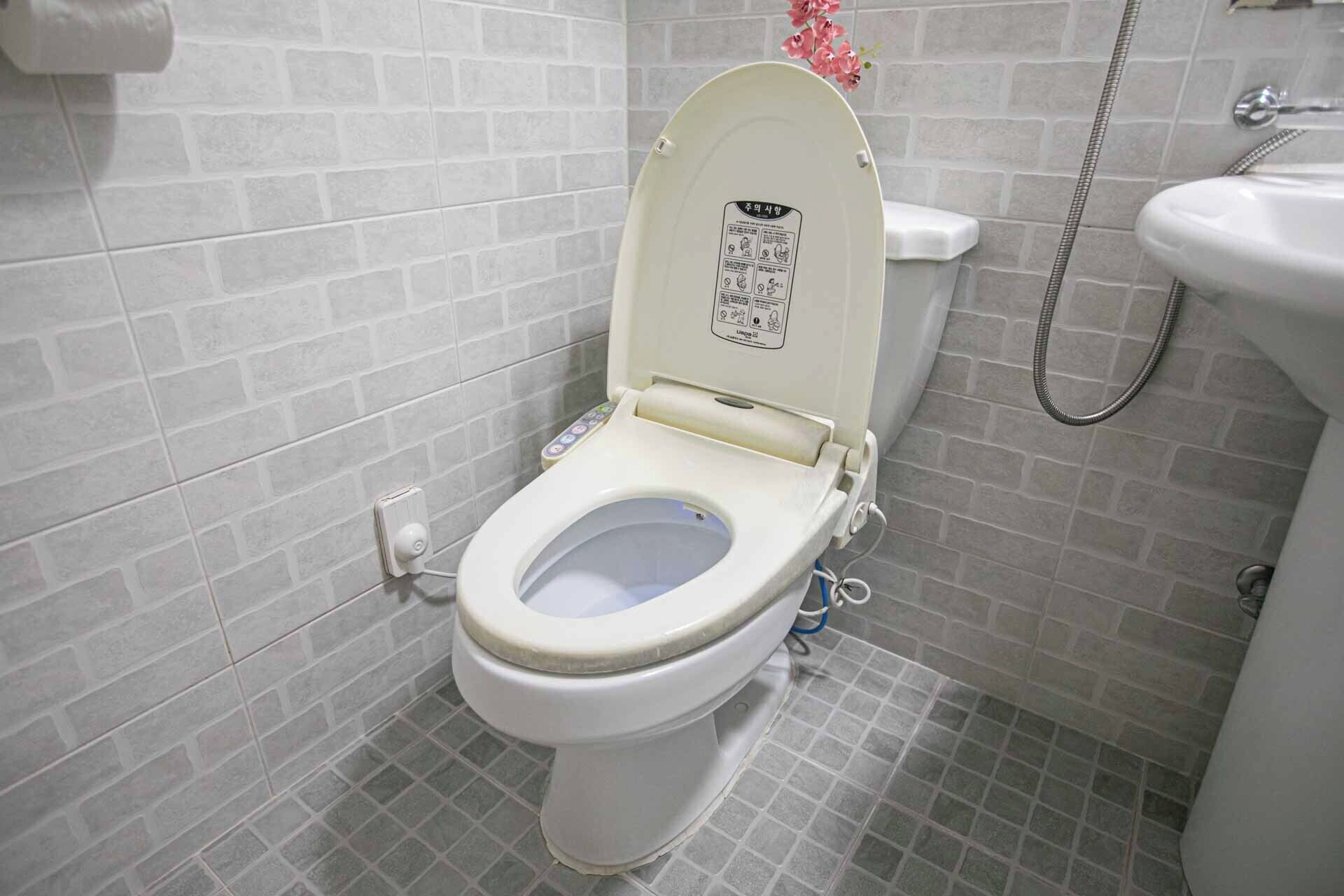 A toilet with a lift-up seat, a hand dryer, and a shower hose.