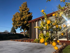 Property grounds - Award Winning Dream Escape - a stone's throw from Rotorua's major attractions (Fairy Springs)