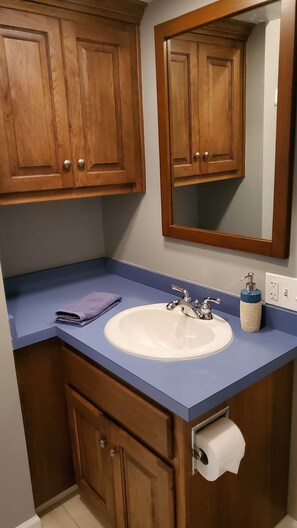Combined shower/bathtub, towels, shampoo, toilet paper