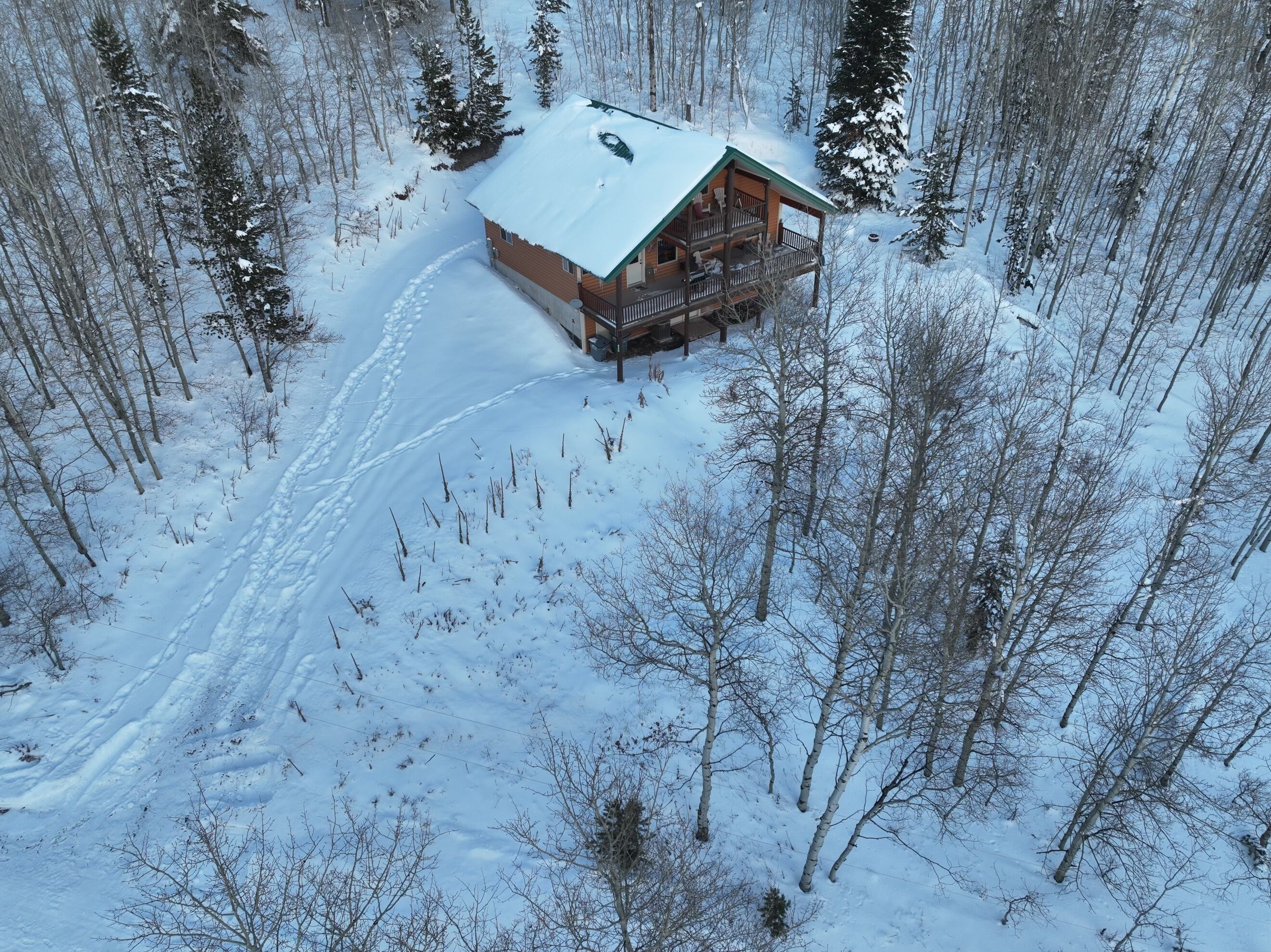 Een chalet met een sneeuwbedekte dak, omringd door bomen en een heldere lucht.