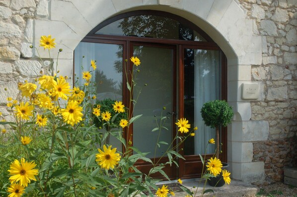 A stone building with a wooden door and a small potted plant beside it.