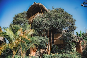 Pemandangan dari properti