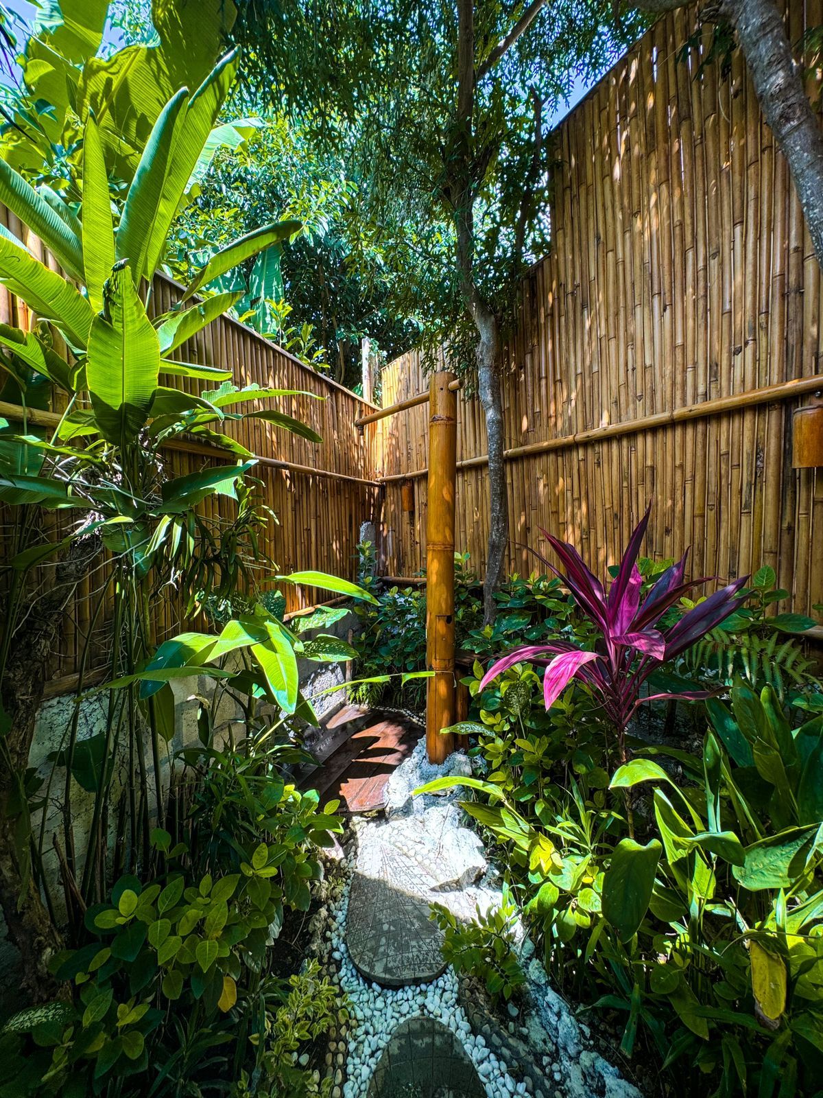 Un jardin agrémenté d’une clôture en bambou, d’un sentier en pierre et de diverses plantes tropicales.