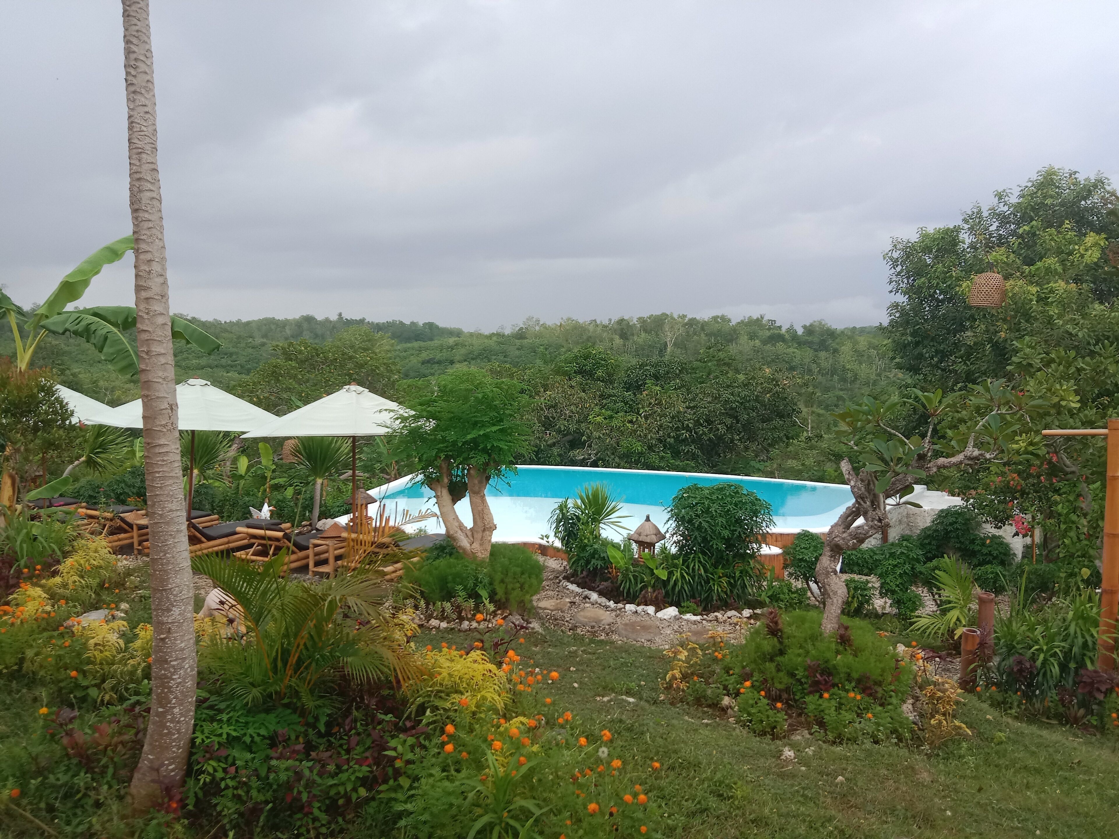 A pool area with lounge chairs and umbrellas, surrounded by lush greenery and tropical plants.