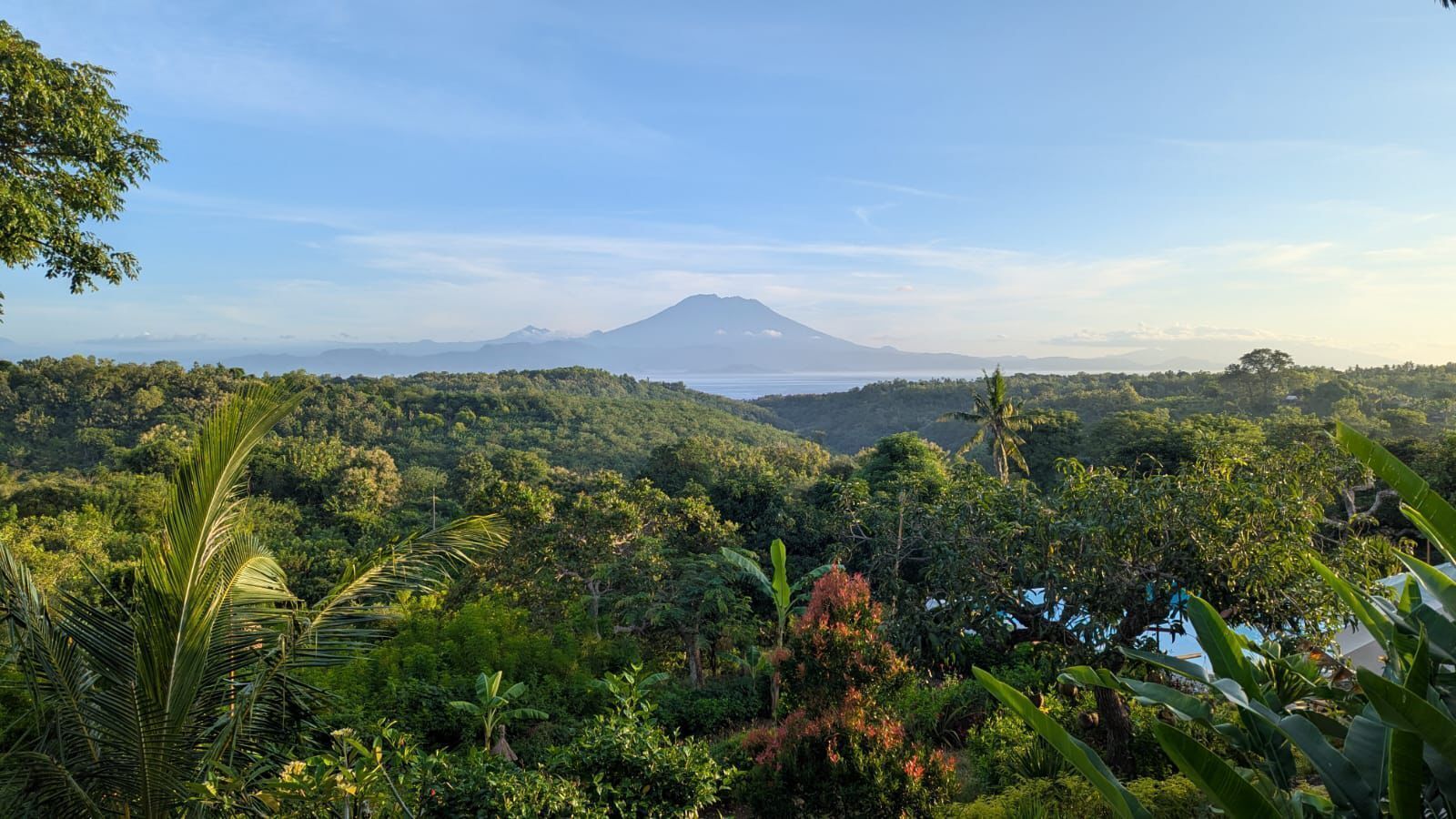 Un paisaje verde y exuberante con una montaña a lo lejos.
