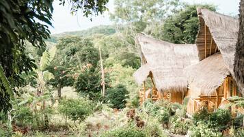 Un sentier mène à une maison de campagne au toit de chaume, entourée d’une végétation luxuriante et de diverses espèces de plantes.