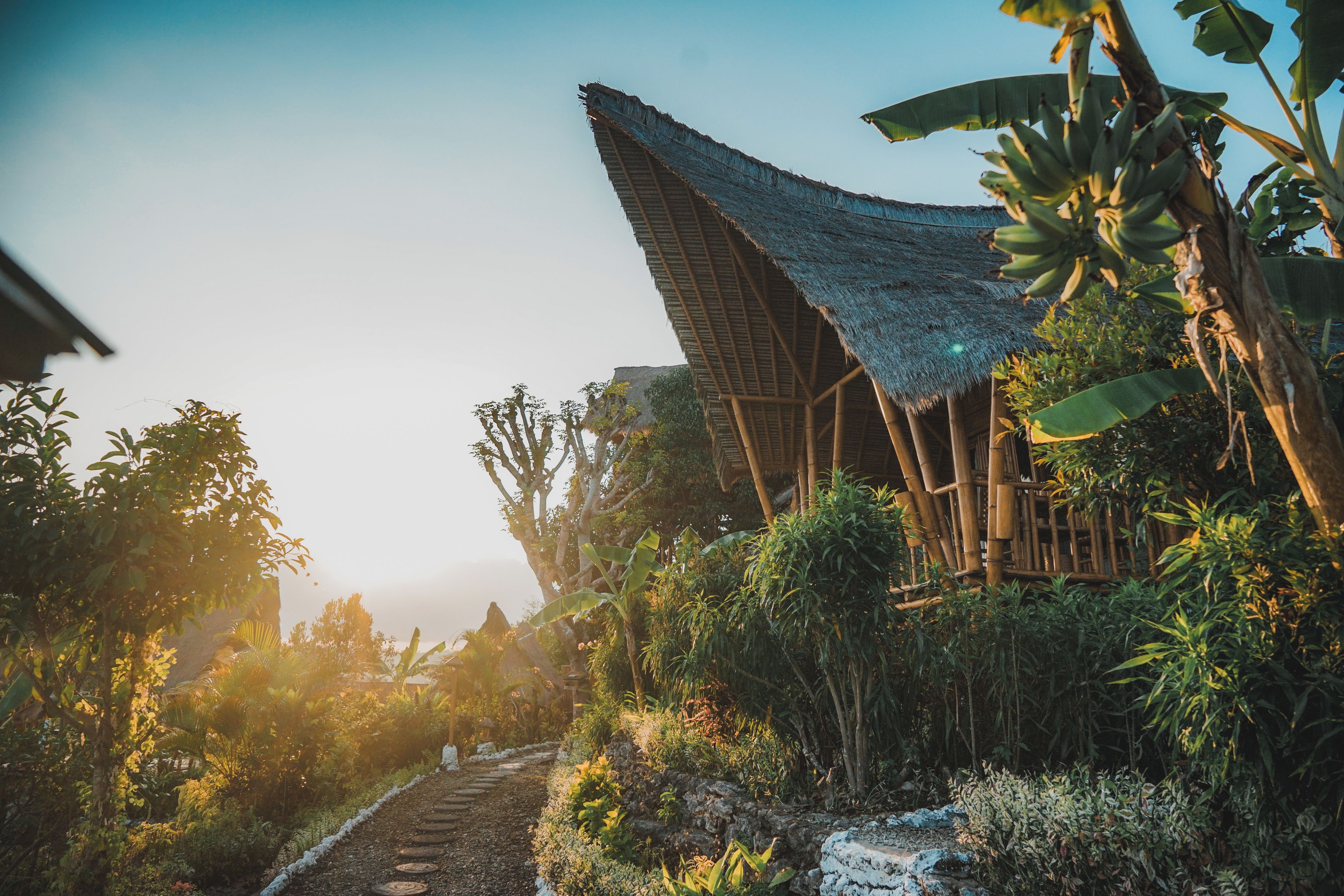 A traditional bamboo structure with a thatched roof, surrounded by lush tropical vegetation and a stone pathway leading to it.