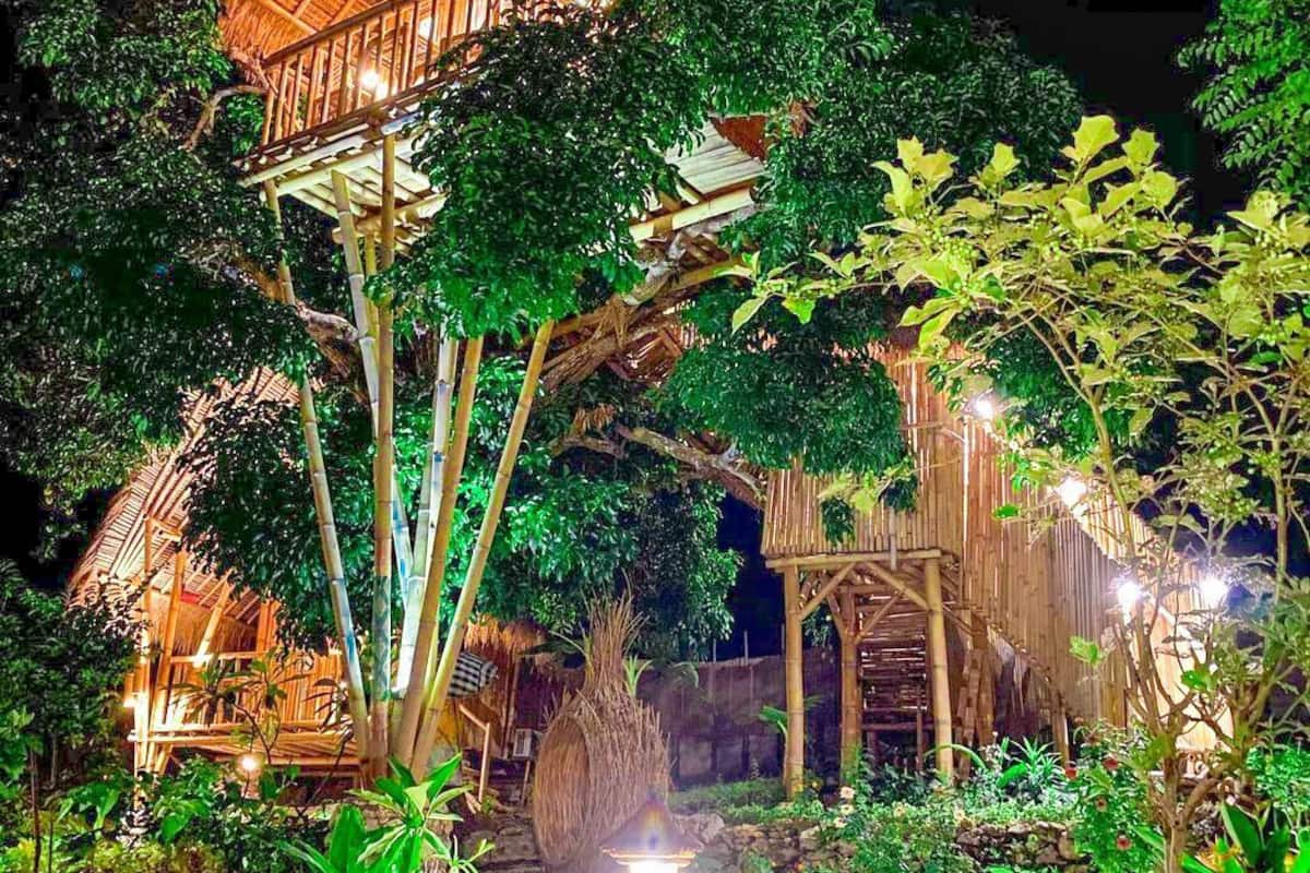 Panorama boomhut | Terras
