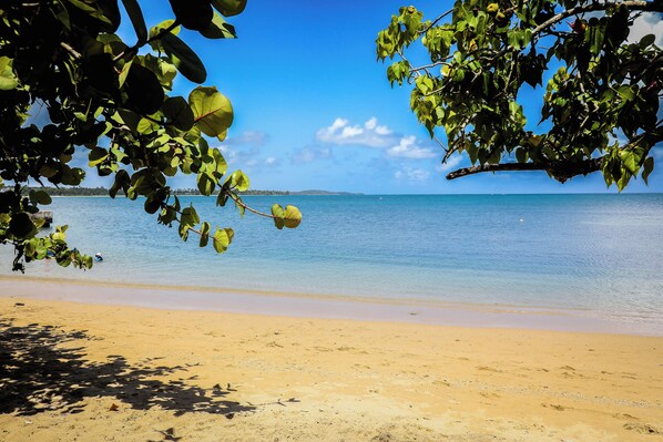 En la playa, camastros y toallas de playa 