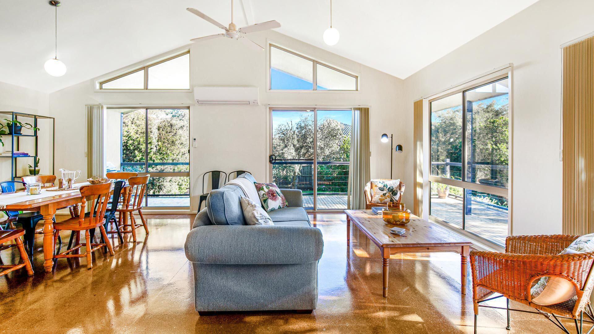 تلفزيون، مشغل دي في دي، كُتُب، مكتبة فيديو