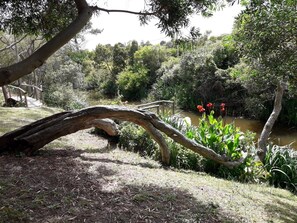 Explore a serene natural setting with a fallen tree trunk forming a natural bridge over a tranquil body of water.