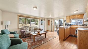 Télévision, Netflix, services de streaming, vidéothèque