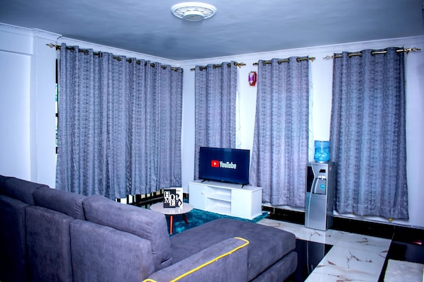 TV, Netflix, streaming services