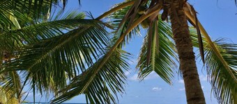 人里離れたビーチフロントコンドミニアムグランドケイマンカリビアンブルーウォーター!!