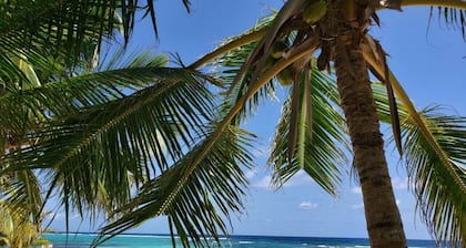 Condo en bord de mer isolé Grand Cayman Caraïbes eau bleue !!