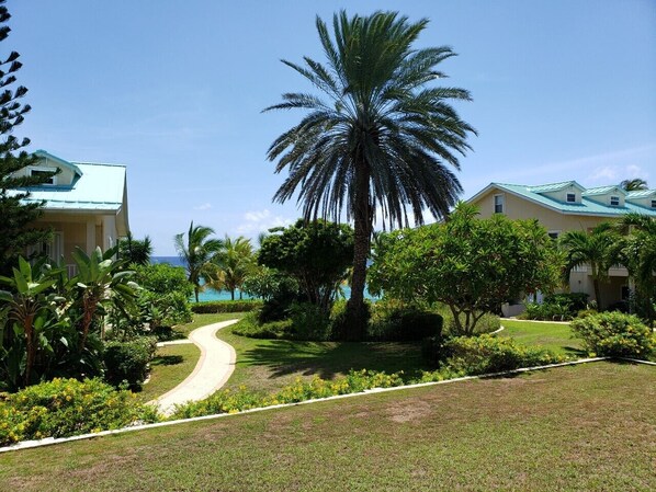 A resort with a palm tree-lined pathway leading to a building with a light blue roof.