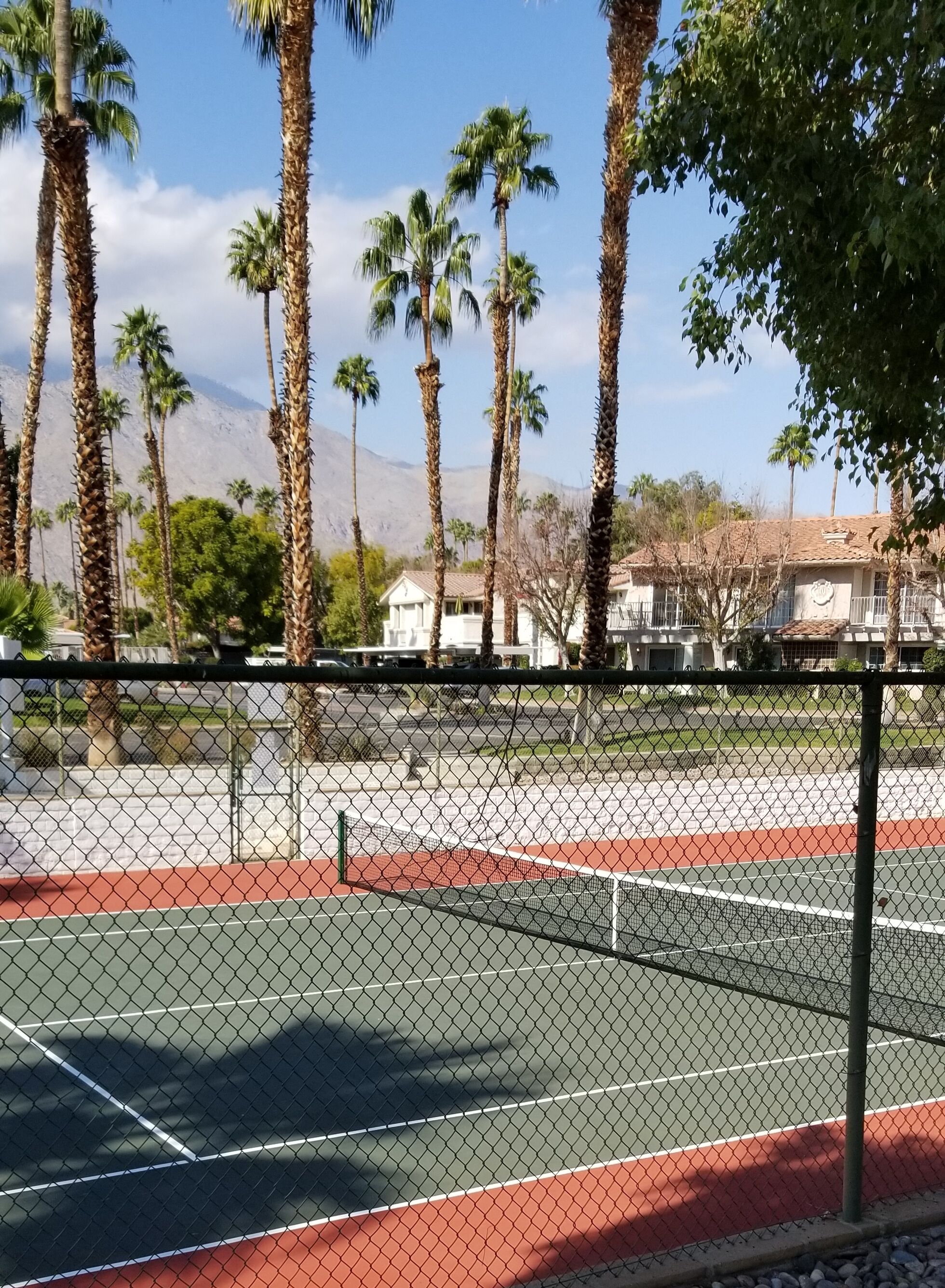 Ein Tennisplatz mit einem Zaun aus Maschendraht, umgeben von Palmen und einem Berg im Hintergrund.