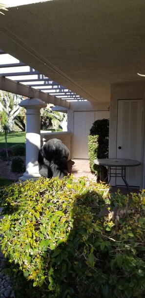 A covered patio area with a table and chairs, surrounded by greenery and a white door. - Beautiful Condo at Mesquite Country Club -Pool, Hot Tub, Tennis (City ID:4337) (Palm Springs)